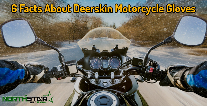 6 Facts About Deerskin Motorcycle Gloves
