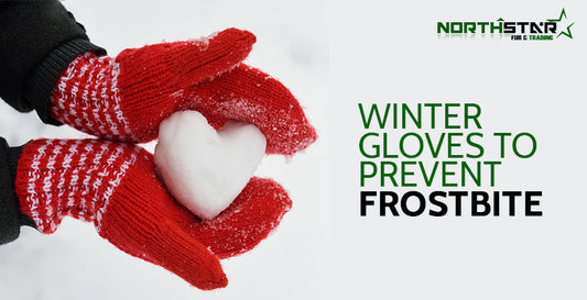 Winter Gloves To Prevent Frostbite