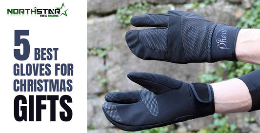 5 Best Gloves For Christmas Gifts