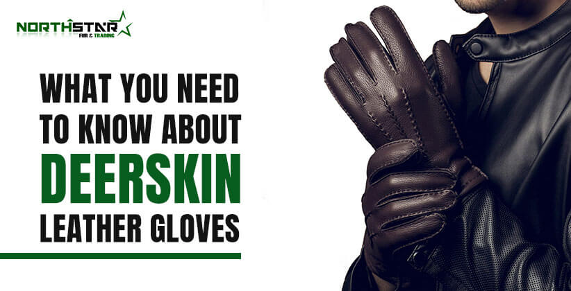 What Should You Know About Deerskin Gloves?