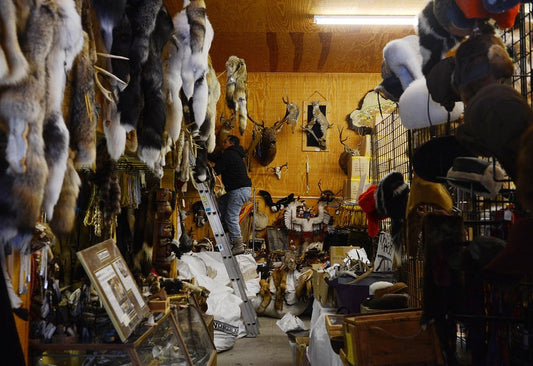 Just what happens to that deerskin?