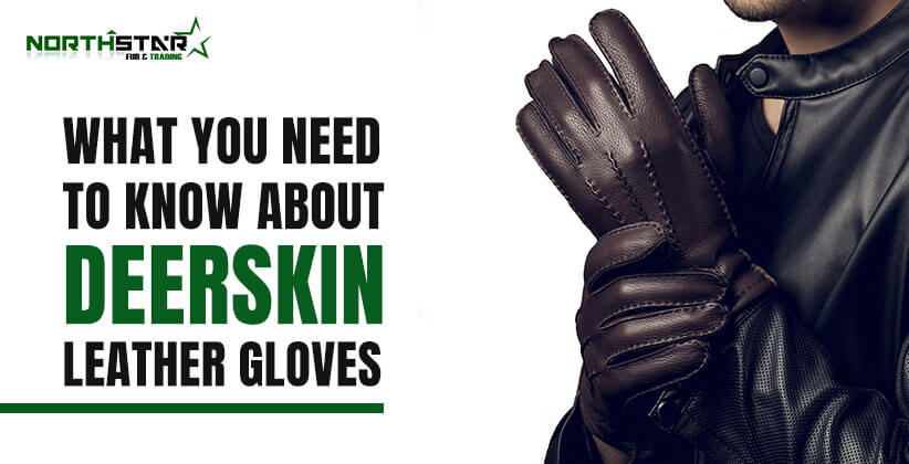 What Should You Know About Deerskin GlovesWhat-Should-You-Know-About-Deerskin-Gloves